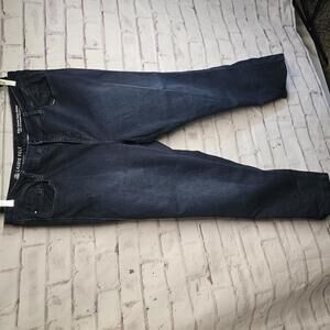 Laurie Felt Dark Wash Jeans 1X